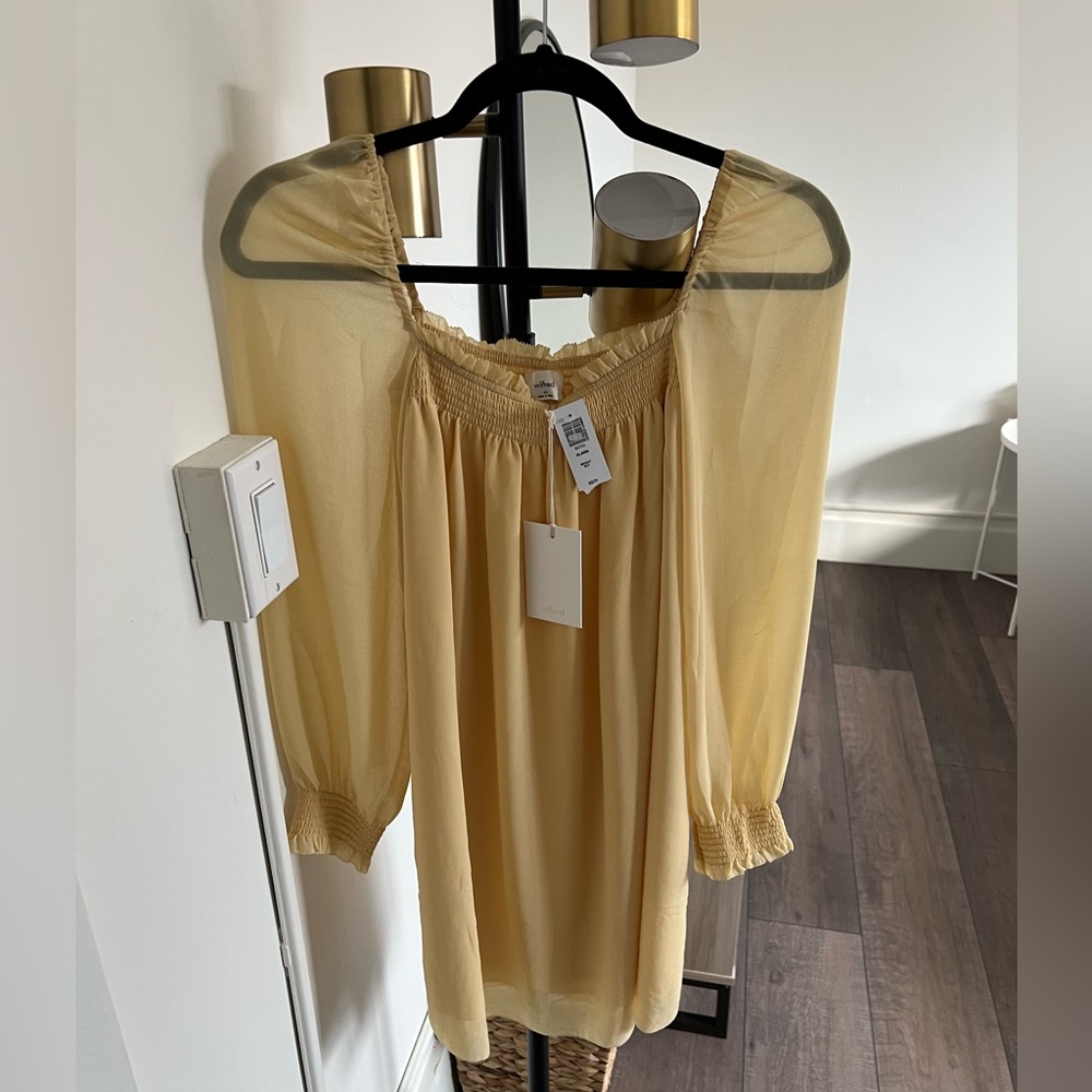 Aritzia Brand New Babydoll dress!